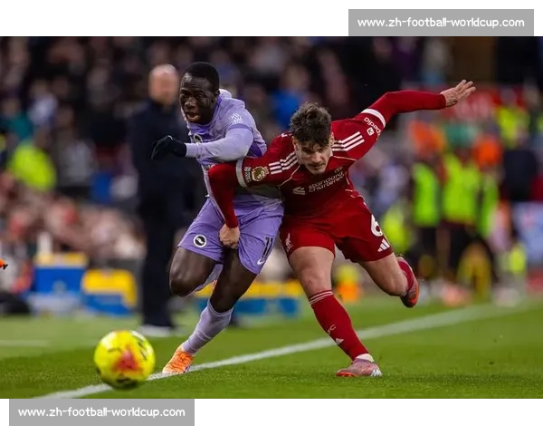 布莱顿 2025-26 主场球衣发布！邓克、吕特领衔演绎蓝白新章